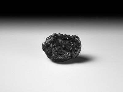 TATEKAWA KOSAI: AN EBONY WOOD NETSUKE OF A RECUMBENT OX