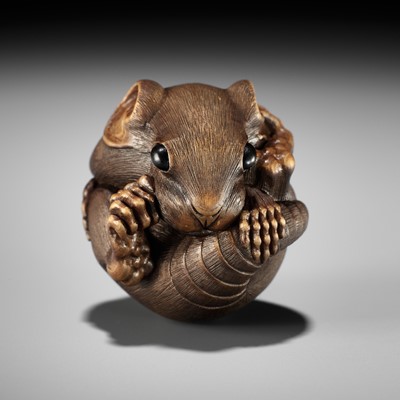 VADYM PYVOVAR: COILED RAT