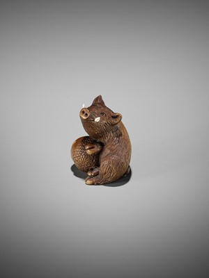 Lot 506 - DERKACHENKO: A WOOD NETSUKE OF A BOAR WITH ACORN