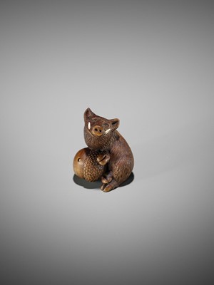 Lot 506 - DERKACHENKO: A WOOD NETSUKE OF A BOAR WITH ACORN