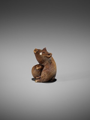 Lot 506 - DERKACHENKO: A WOOD NETSUKE OF A BOAR WITH ACORN