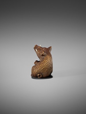 Lot 506 - DERKACHENKO: A WOOD NETSUKE OF A BOAR WITH ACORN