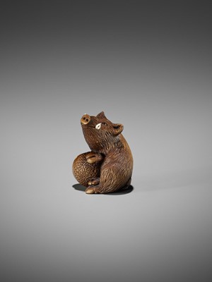 Lot 506 - DERKACHENKO: A WOOD NETSUKE OF A BOAR WITH ACORN
