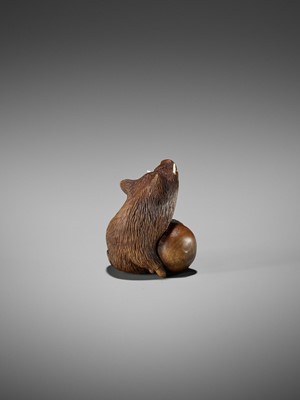 Lot 506 - DERKACHENKO: A WOOD NETSUKE OF A BOAR WITH ACORN