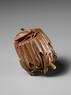 Lot 105 - TADAKAZU: A FINE WOOD NETSUKE OF A WASP NEST WITH MOVABLE LARVAE