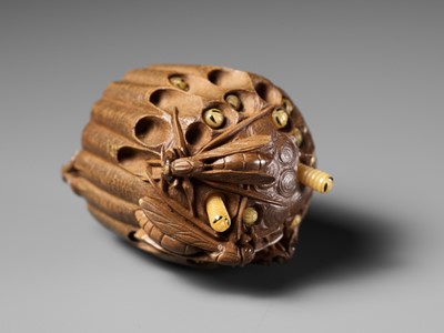 Lot 105 - TADAKAZU: A FINE WOOD NETSUKE OF A WASP NEST WITH MOVABLE LARVAE