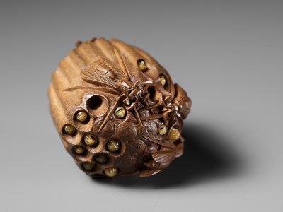 Lot 105 - TADAKAZU: A FINE WOOD NETSUKE OF A WASP NEST WITH MOVABLE LARVAE