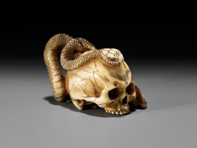 Lot 96 - A FINE IVORY NETSUKE OF A SKULL WITH A SNAKE