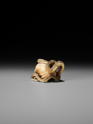 Lot 96 - A FINE IVORY NETSUKE OF A SKULL WITH A SNAKE