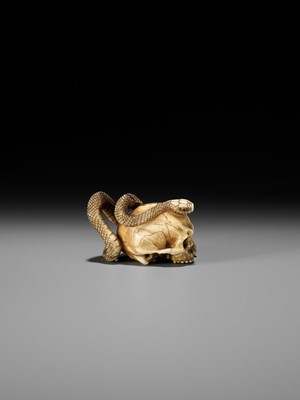 Lot 96 - A FINE IVORY NETSUKE OF A SKULL WITH A SNAKE