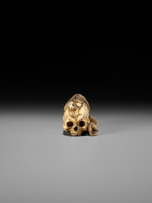 Lot 96 - A FINE IVORY NETSUKE OF A SKULL WITH A SNAKE