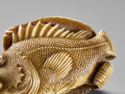 Lot 217 - ANDO RYOKUZAN: A SUPERB IVORY NETSUKE OF A FLOUNDER AND ROCKFISH
