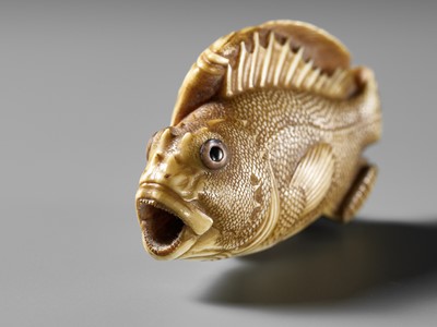 Lot 217 - ANDO RYOKUZAN: A SUPERB IVORY NETSUKE OF A FLOUNDER AND ROCKFISH