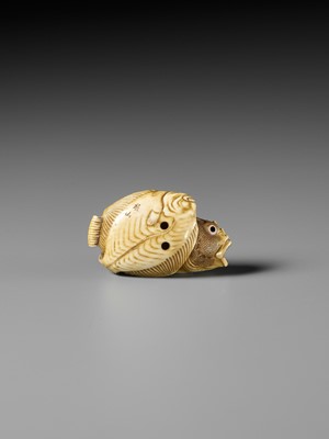 Lot 217 - ANDO RYOKUZAN: A SUPERB IVORY NETSUKE OF A FLOUNDER AND ROCKFISH