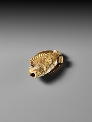 Lot 217 - ANDO RYOKUZAN: A SUPERB IVORY NETSUKE OF A FLOUNDER AND ROCKFISH