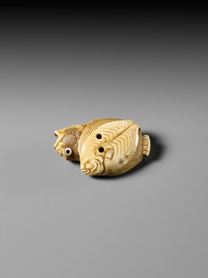 Lot 217 - ANDO RYOKUZAN: A SUPERB IVORY NETSUKE OF A FLOUNDER AND ROCKFISH