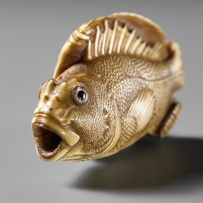 Lot 217 - ANDO RYOKUZAN: A SUPERB IVORY NETSUKE OF A FLOUNDER AND ROCKFISH