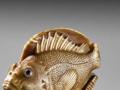 Lot 217 - ANDO RYOKUZAN: A SUPERB IVORY NETSUKE OF A FLOUNDER AND ROCKFISH