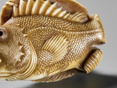 Lot 217 - ANDO RYOKUZAN: A SUPERB IVORY NETSUKE OF A FLOUNDER AND ROCKFISH