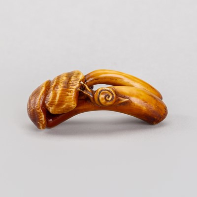 Lot 1200 - SHOZAN: A FINE IVORY NETSUKE DEPICTING THREE REISHI FUNGI WITH A SNAIL