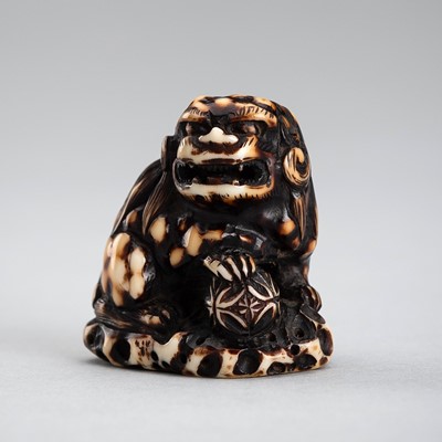 GYOKUMASA: A WALRUS TUSK NETSUKE OF A SNARLING SHISHI WITH BALL