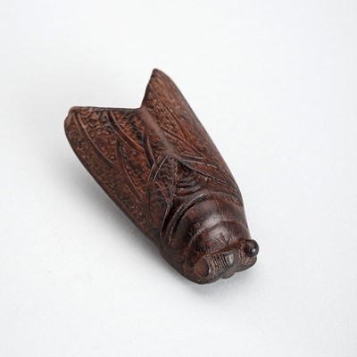 A WOOD NETSUKE OF A CICADA