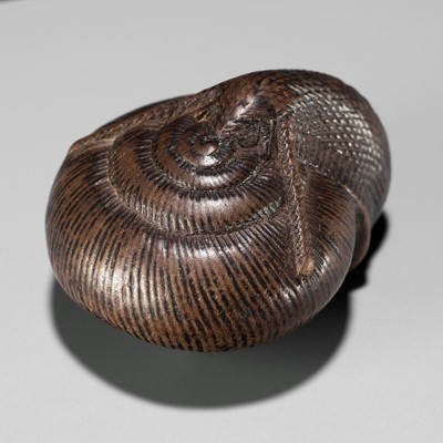 Lot 131 - SARI: A FINE WOOD NETSUKE OF A SNAIL EMERGING FROM ITS SHELL