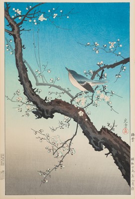 TSUCHIYA KOITSU: WARBLER ON PLUM BRANCH