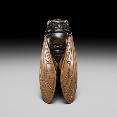 Lot 180 - A LARGE WOOD NETSUKE OF A CICADA