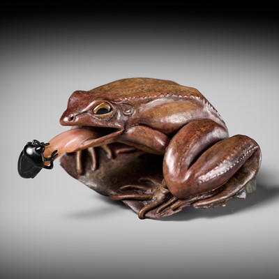 Lot 372 - MATT KOWOLLIK: A CONTEMPORARY MANZANITA WOOD NETSUKE OF A FROG CATCHING A BEETLE