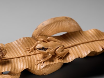 Lot 368 - NICK LAMB: SANSUKUMI