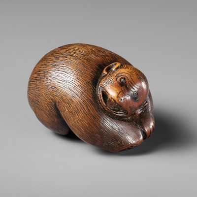 Lot 421 - A CHARMING WOOD NETSUKE OF A PORTLY MONKEY