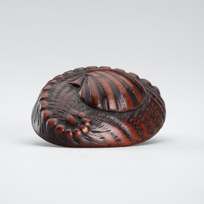 Lot 420 - A WOOD NETSUKE OF AN AWABI WITH HOTATEGAI, 18TH CENTURY