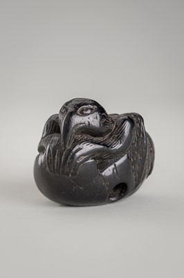 AN EBONY WOOD NETSUKE OF A HATCHING TENGU (TENGU NO TOMAGO)