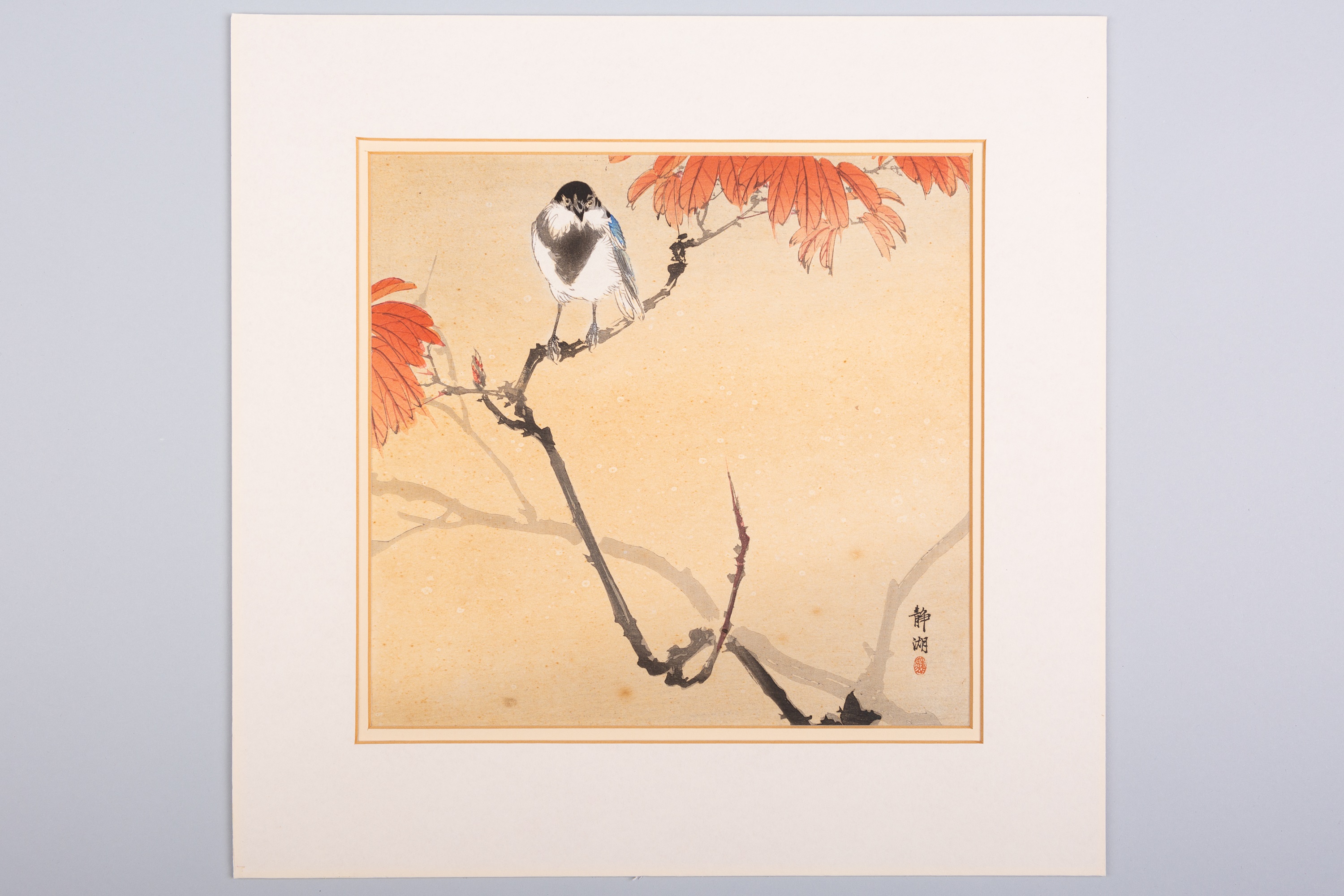 24035-5.jpg?v=63850941574440