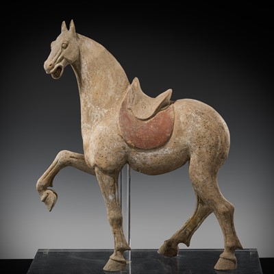 Lot 521 - A LARGE PAINTED POTTERY FIGURE OF A PRANCING ARABIAN HORSE, TANG DYNASTY