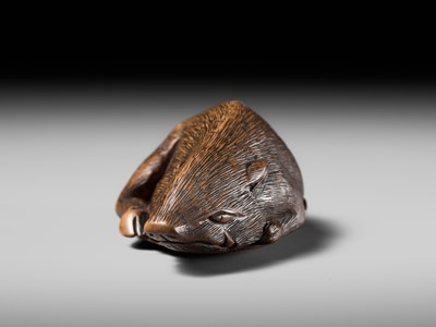 Lot 140 - TAMETAKA: A SUPERB WOOD NETSUKE OF A BOAR RESTING ON AUTUMN LEAVES