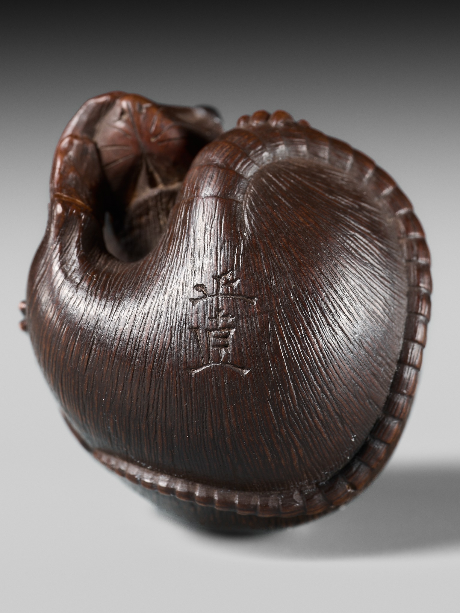 Lot 503 - MASANAO: A FINE WOOD NETSUKE OF A COILED RAT