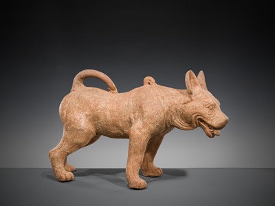 Lot 128 - A VERY LARGE SICHUAN POTTERY MODEL OF A HARNESSED DOG, HAN DYNASTY
