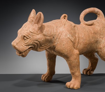 Lot 128 - A VERY LARGE SICHUAN POTTERY MODEL OF A HARNESSED DOG, HAN DYNASTY