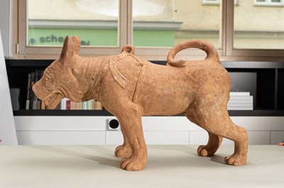 Lot 128 - A VERY LARGE SICHUAN POTTERY MODEL OF A HARNESSED DOG, HAN DYNASTY