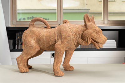 Lot 128 - A VERY LARGE SICHUAN POTTERY MODEL OF A HARNESSED DOG, HAN DYNASTY