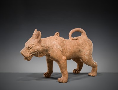 Lot 128 - A VERY LARGE SICHUAN POTTERY MODEL OF A HARNESSED DOG, HAN DYNASTY