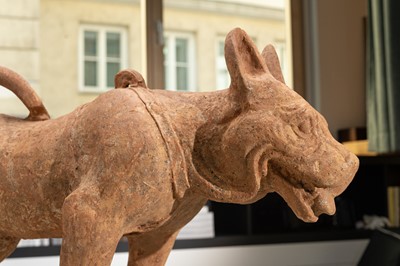 Lot 128 - A VERY LARGE SICHUAN POTTERY MODEL OF A HARNESSED DOG, HAN DYNASTY