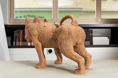 Lot 128 - A VERY LARGE SICHUAN POTTERY MODEL OF A HARNESSED DOG, HAN DYNASTY