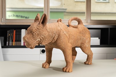 Lot 128 - A VERY LARGE SICHUAN POTTERY MODEL OF A HARNESSED DOG, HAN DYNASTY