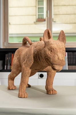 Lot 128 - A VERY LARGE SICHUAN POTTERY MODEL OF A HARNESSED DOG, HAN DYNASTY