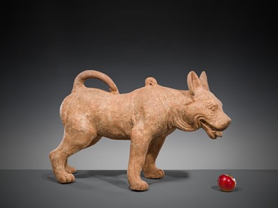 Lot 128 - A VERY LARGE SICHUAN POTTERY MODEL OF A HARNESSED DOG, HAN DYNASTY