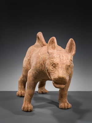 Lot 128 - A VERY LARGE SICHUAN POTTERY MODEL OF A HARNESSED DOG, HAN DYNASTY