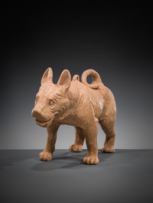 Lot 128 - A VERY LARGE SICHUAN POTTERY MODEL OF A HARNESSED DOG, HAN DYNASTY